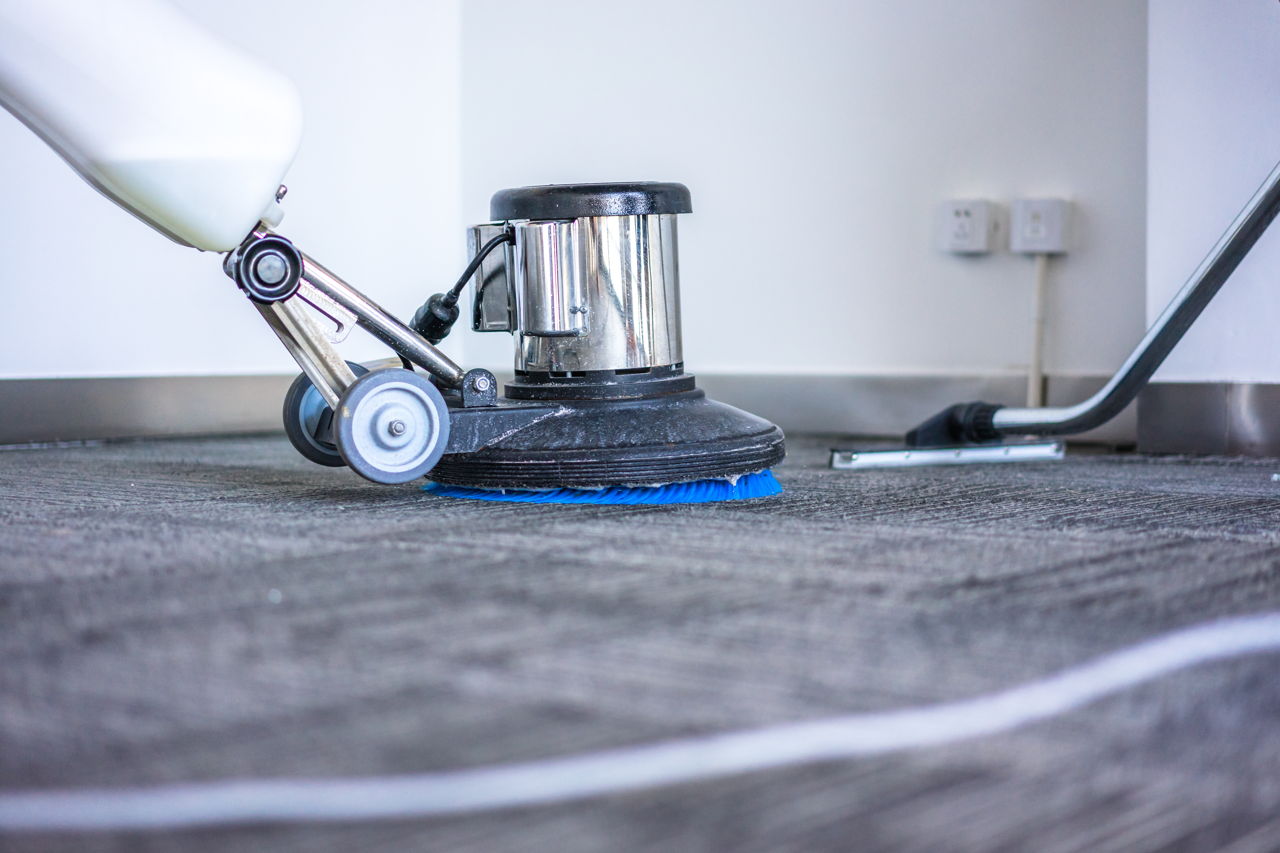 carpet cleaning